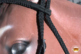 Black Horse Bridle Headstall Flat Braided Paracord By Hilason