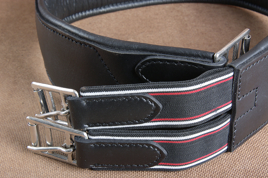 HILASON Padded Leather Horse English Saddle Girth Cinch Roller Buckles | Strap for Horses Back Western