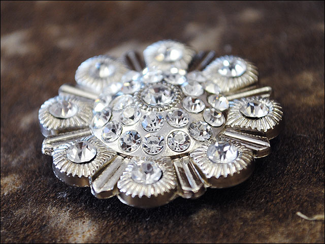Western Screw Back Concho Clear Berry Saddle Headstall Tack Bling Cowgirl