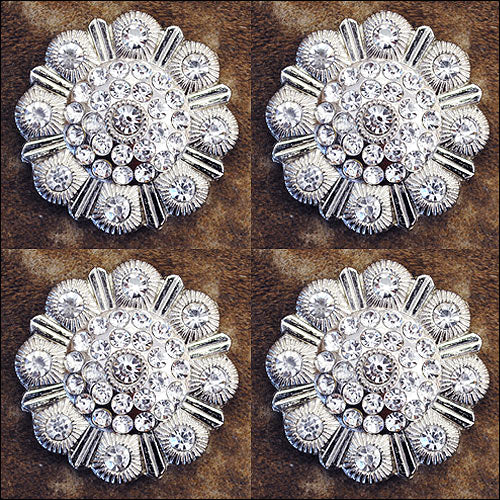 Western Screw Back Concho Clear Berry Saddle Headstall Tack Bling Cowgirl