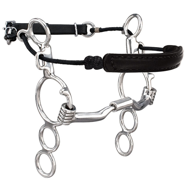 Myler 3 Ring Combination Bit 6" Shank Sweet Iron Low Port Comfort by Hilason – Cowboy and equestrian accessories