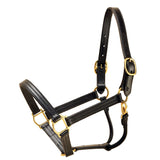 Horse 1" Tory Leather Triple Stitched Halter Rolled Snap Throat Fixed  Black