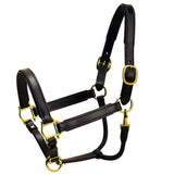 1" Tory Leather Padded Halter Rolled Snap Throat Fixed Hardware Black