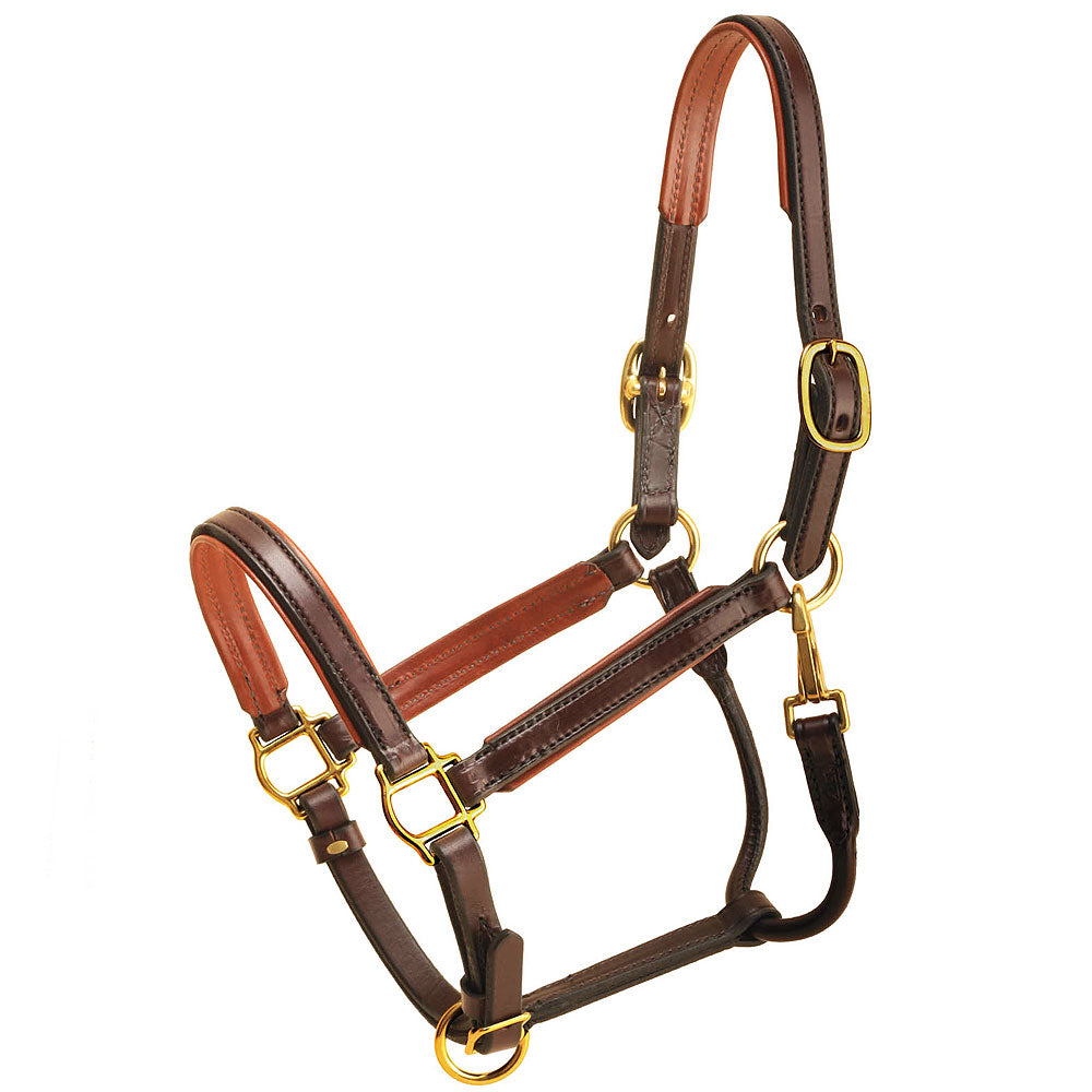 Tory Leather 3/4 Padded Halter with Brass Hardware