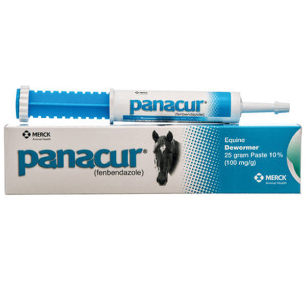 Panacur Equine Paste 10% H. Wormer 100mg 1 X 25 Grams Apple Flavor – by Hilason – Cowboy and equestrian accessories
