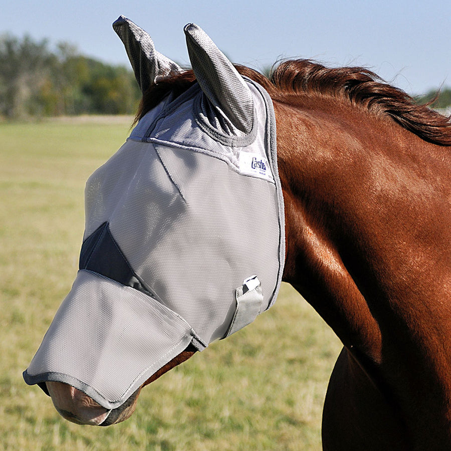 White nylon horse fly mask with dark mesh panels - Uhorse