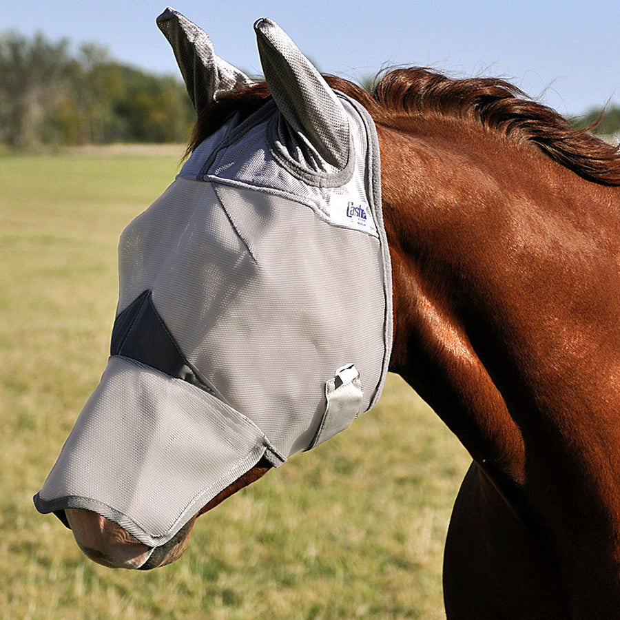 White nylon horse fly mask with dark trim - Uhorse