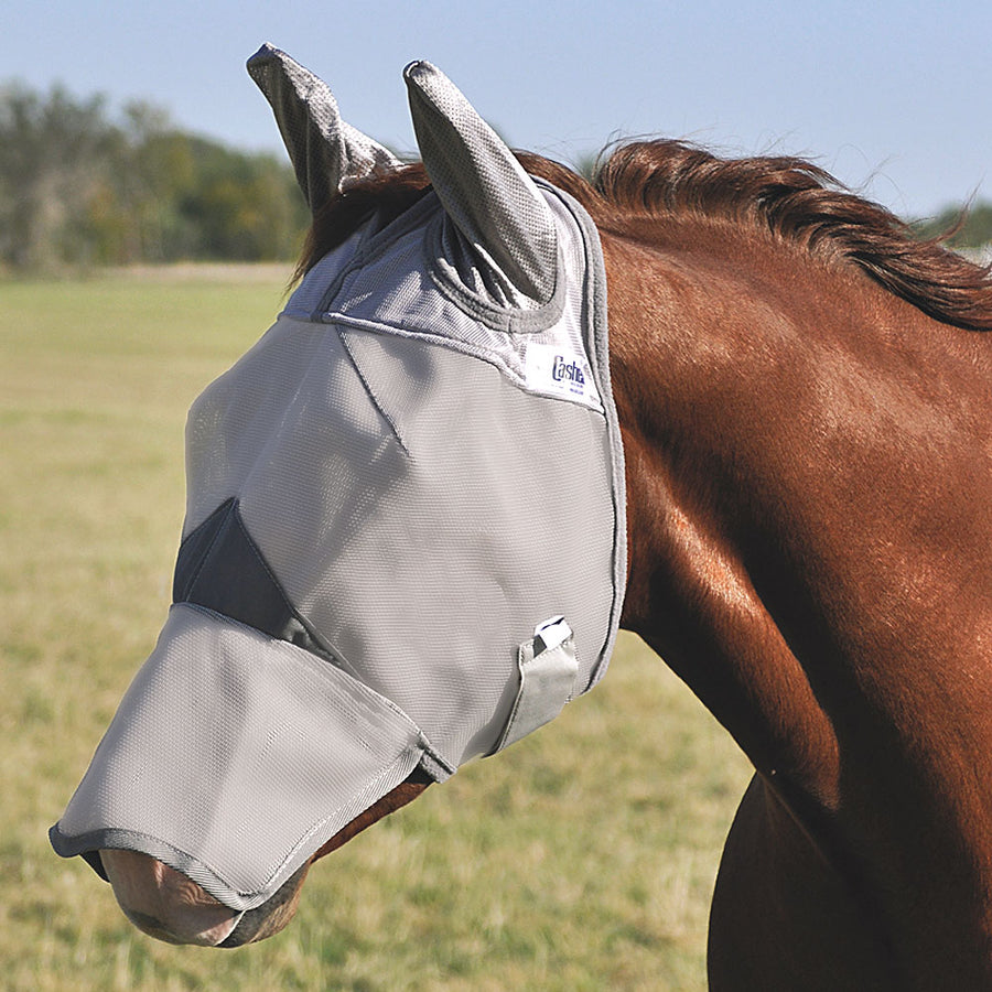 White nylon horse fly mask with dark trim - Uhorse