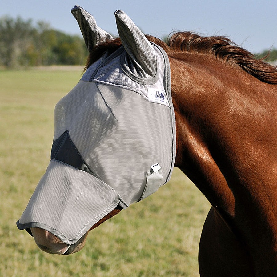 White nylon horse fly mask with dark trim - Uhorse