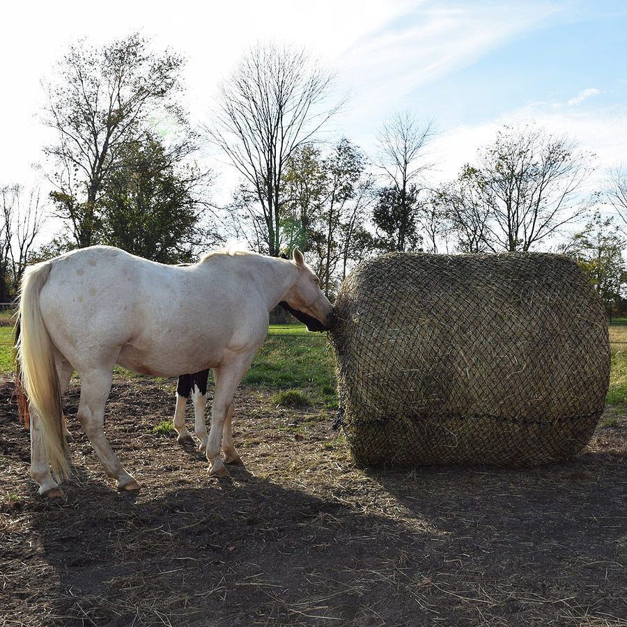 6Ft X Tough 1 Deluxe Round Bale Slow H. Feed Hay Net by Hilason – Cowboy and equestrian accessories