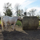 6Ft X 6Ft  Tough 1 Deluxe Round Bale Slow Horse Feed Hay Net