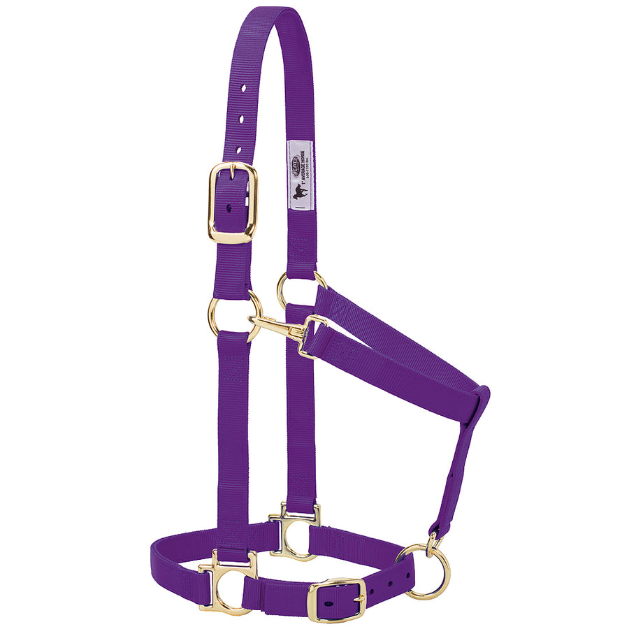 Purple Nylon Basic Adjustable Chin And Throat Snap Horse Halter - Uhorse