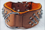 Hilason Western Style Heavy Duty Spiked Leather Pet Dog Collar