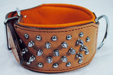 Hilason Western Style Heavy Duty Spiked Leather Pet Dog Collar
