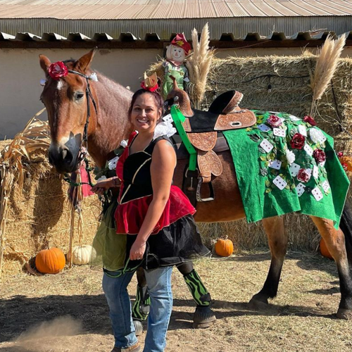 Houston Texas Horse Tack Shop Western and English Rider, saddles & Dog