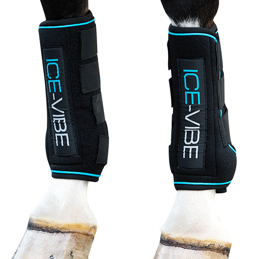 H. Ware W. Ice-Vibe Front And Hind Legs Sport Boots Black by Hilason – Cowboy and equestrian accessories