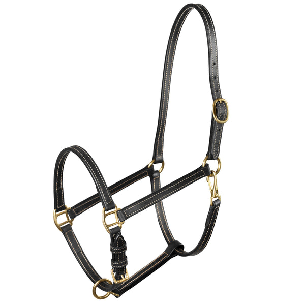 Horze Fremont Leather H. Halter Black by Hilason – Cowboy and equestrian accessories
