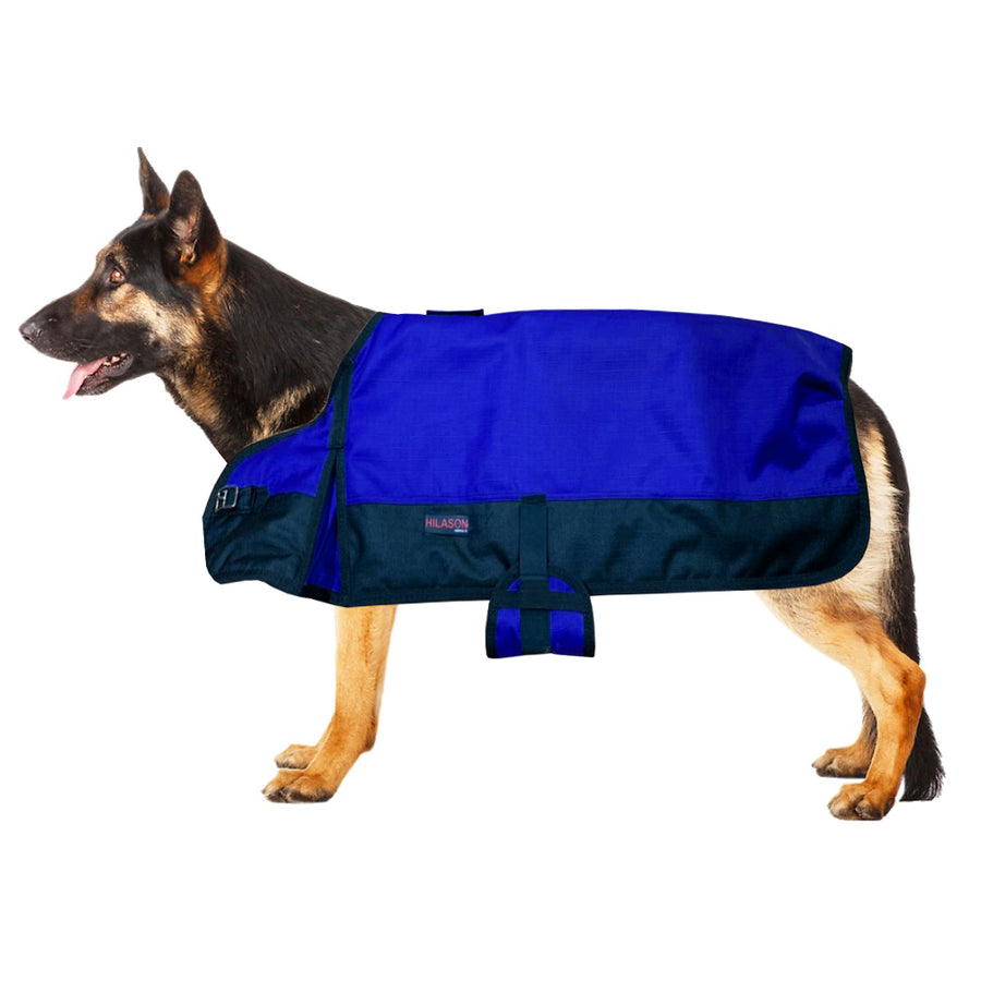 X Large Hilason 200 gsm 600D Winter Turnout Waterproof Dog Blanket Royal Blue - Uhorse