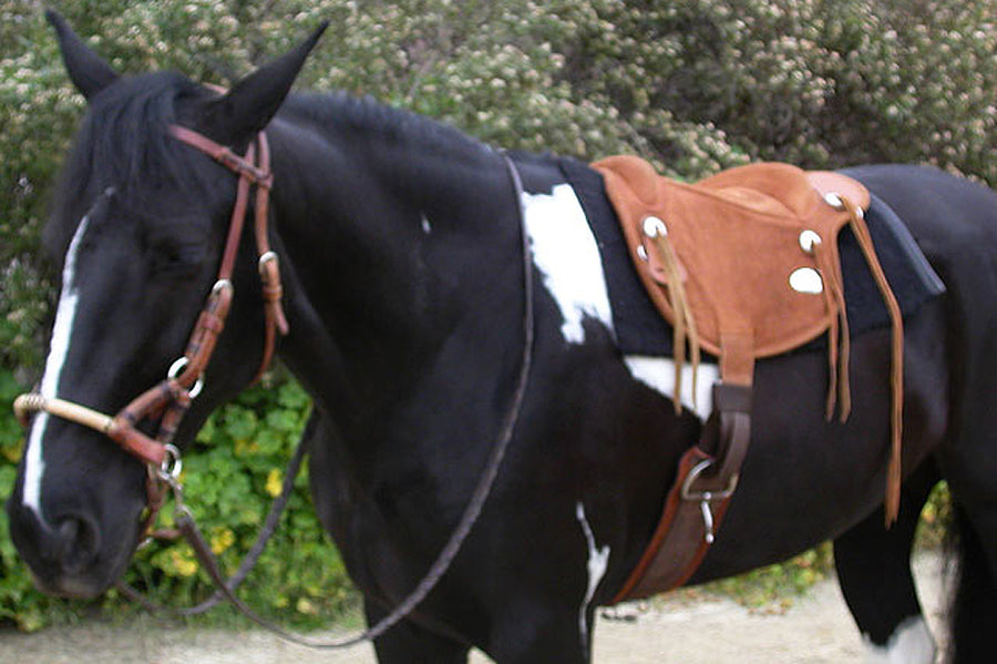 HILASON Western Baretek Bareback Pad Horsemanship Treeless Leather Black | Saddle Riding for Horses