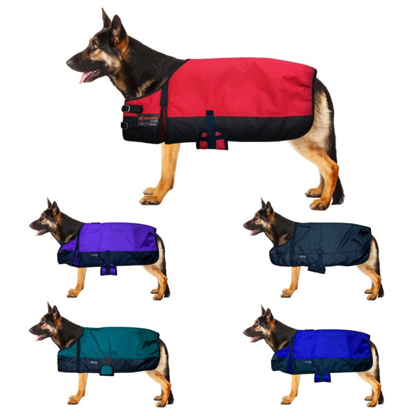 Hilason 200 gsm 600D Winter Turnout Waterproof Dog Blanket by Hilason – Cowboy and equestrian accessories
