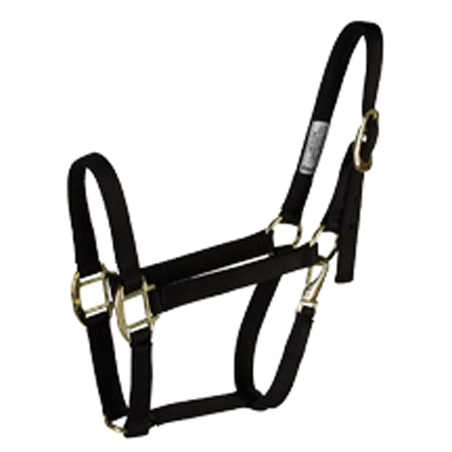 Black nylon horse halter with brass hardware - Uhorse