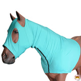 Hilason Spandex Lycra Horse Mane Stay Hood Neck Cover With Zipper Teal