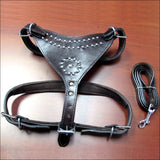 Medium Leather Dog Harness Black Genuine With Leash Hilason