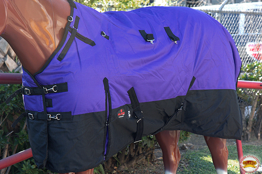 HILASON 600D Winter Waterproof Poly Miniature Horse Blanket Purple | Turnout Blankets for