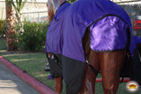 Hilason 600D Winter Waterproof Miniature Horse Turnout Blanket Purple