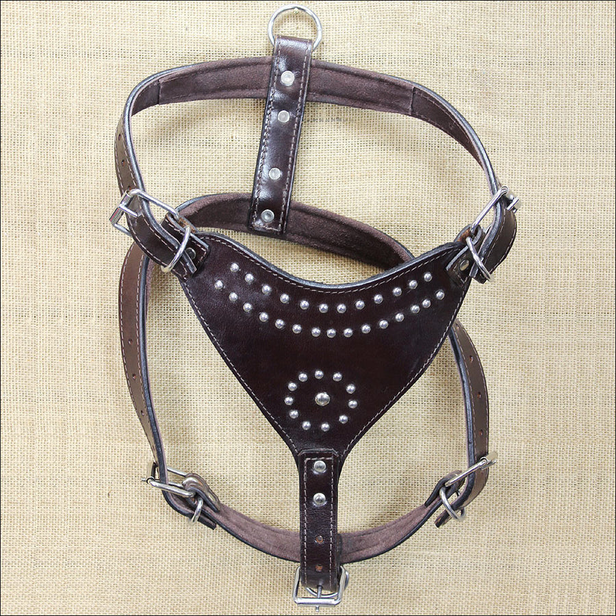 Large Leather Dog Harness New Padded Genuine With Matching Leash Hilason - Uhorse