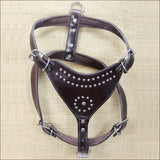 Large Leather Dog Harness New Padded Genuine With Matching Leash Hilason