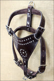 Large Leather Dog Harness New Padded Genuine With Matching Leash Hilason