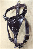 Large Leather Dog Harness New Padded Genuine With Matching Leash Hilason