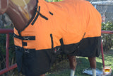 Hilason 1200D Turnout Light Winter Waterproof Rain Sheet Horse Black