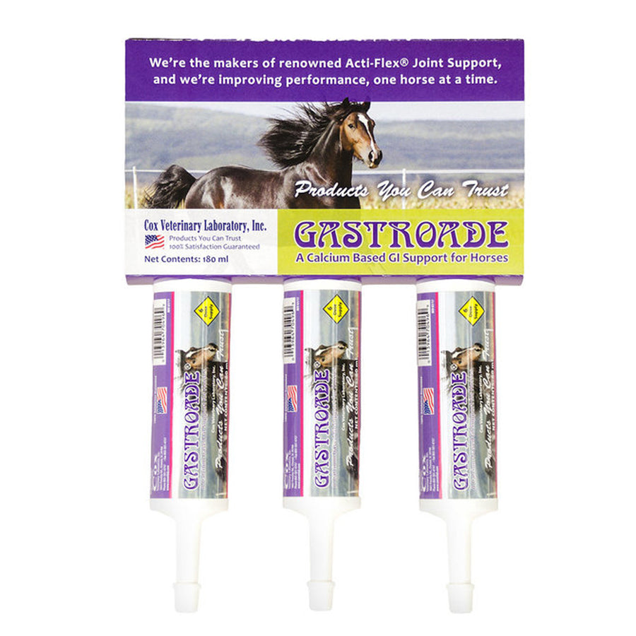 Gastroade Paste 60 ml x 3 ~ - Uhorse