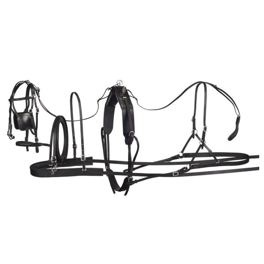 Medium Tough 1 W. H. Royal King Genuine Leather Pony Harness Black – by Hilason – Cowboy and equestrian accessories