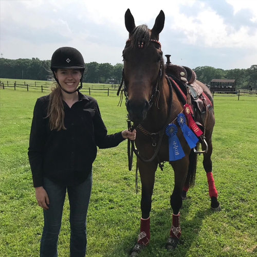 Houston Texas Horse Tack Shop Western and English Rider, saddles & Dog Hilason Saddles and Tack