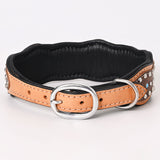 Hilason Western Genuine Leather Dog Collar Brown Decorated Rivets Hand Work