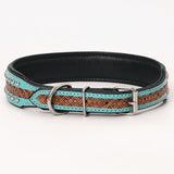 Hilason Western Hand Painted Genuine Leather Dog Collar Turquoise