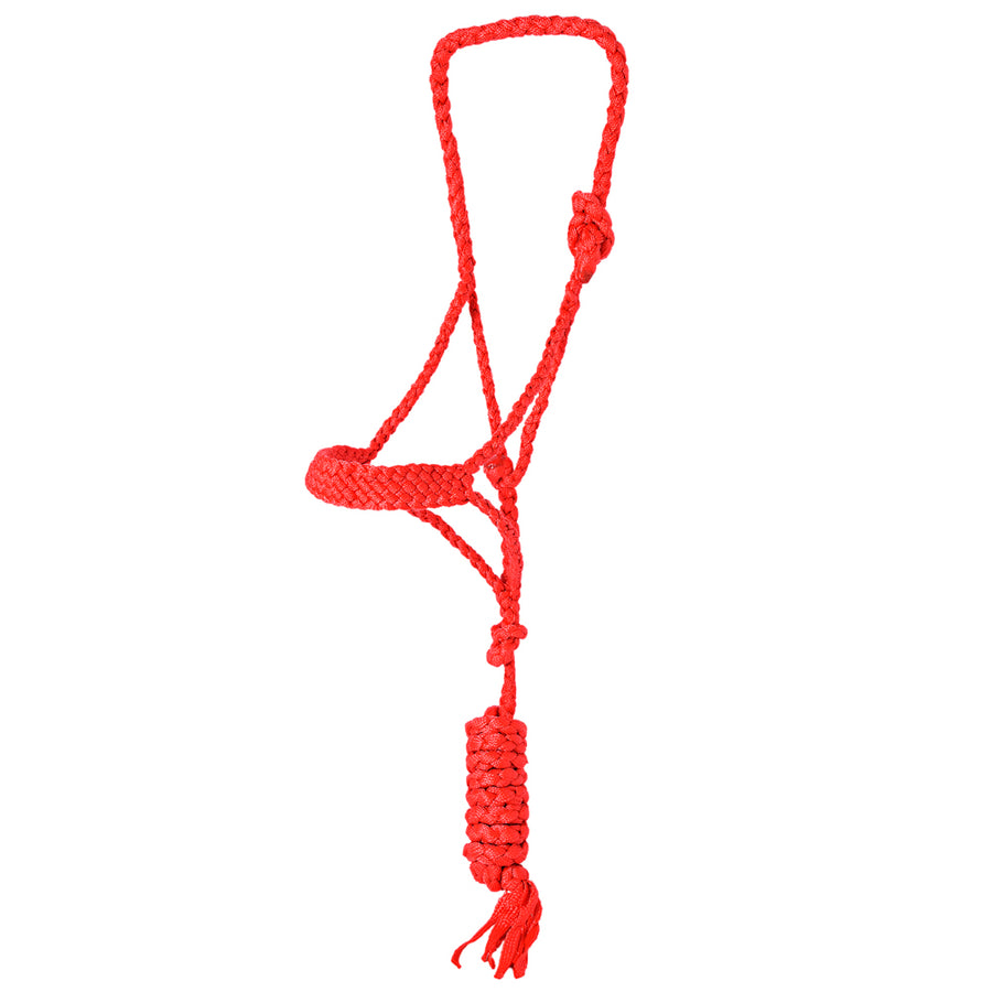 Hilason Braided Nylon Knotted Rope Horse Halter With 8 Ft. Lead Rope Heavy Duty Training Halter - Uhorse