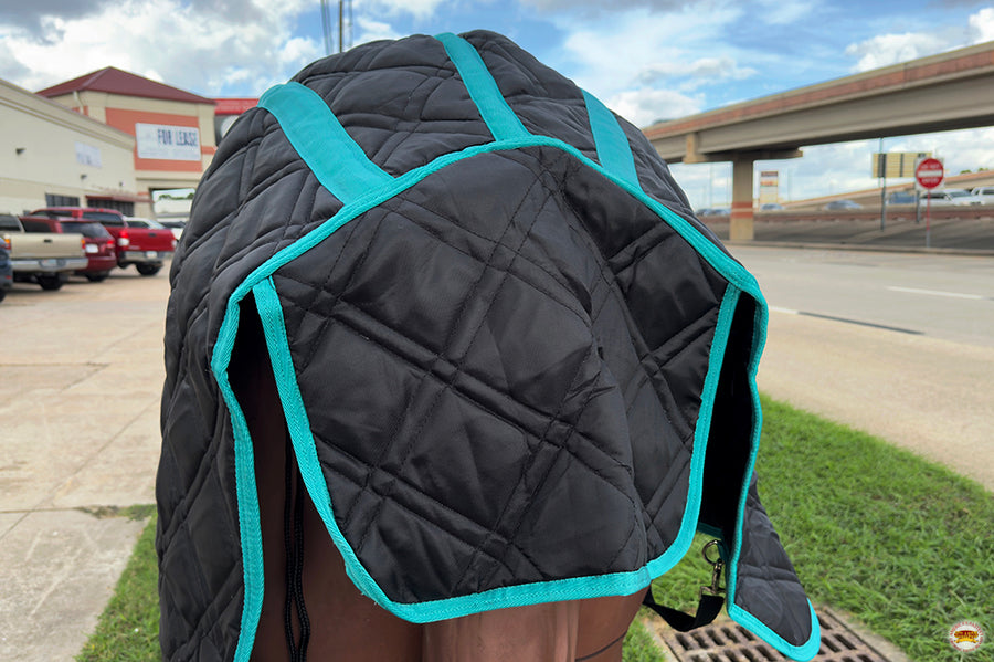 HILASON Western Horse Stable Blanket Quilted | Blankets for Winter Water Resistant Horses Black 66 Inches