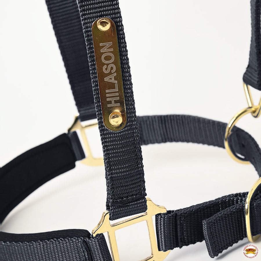 HILASON Western Safety Horse Halter Comfortable and Flexible | Nylon Halters Adjustable Cute