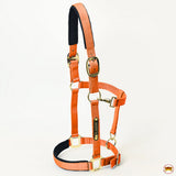 HILASON Western Safety Horse Halter Comfortable and Flexible | Nylon Halters Adjustable Cute
