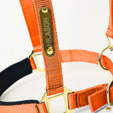 HILASON Western Safety Horse Halter Comfortable and Flexible | Nylon Halters Adjustable Cute