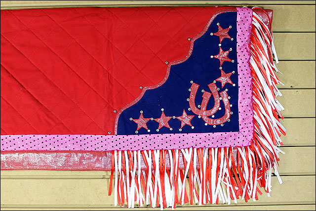 Csb920 Hilason Western Show Barrel Racing Rodeo Saddle Blanket Pad Pink & Blue