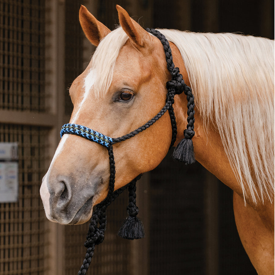 Professional's Choice H. Cowboy Braided Woven Halter Black Blue – by Hilason – Cowboy and equestrian accessories