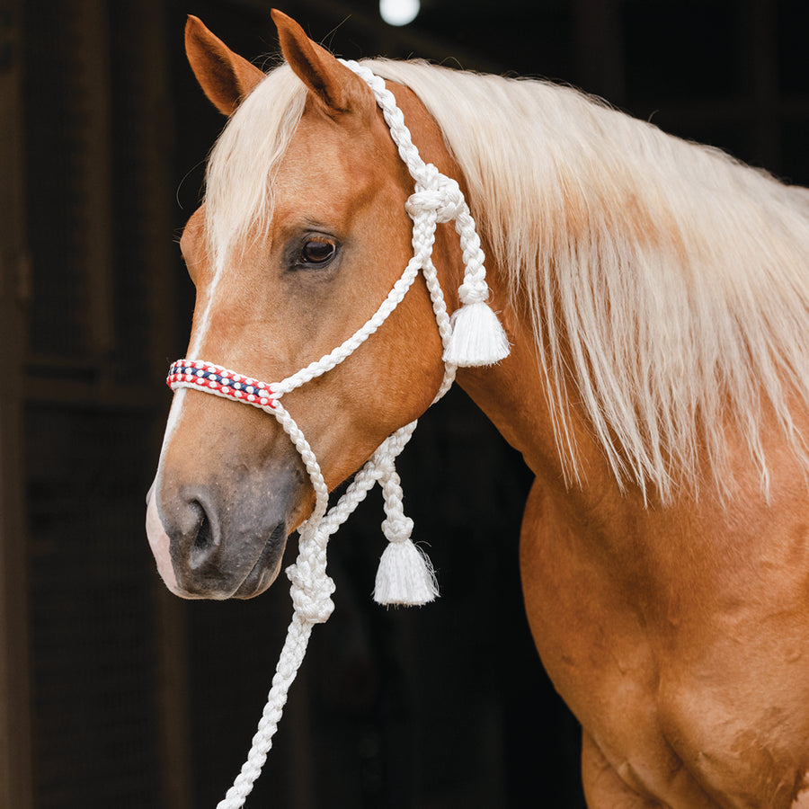 Professional's Choice H. Cowboy Braided Woven Halter White Red – by Hilason – Cowboy and equestrian accessories
