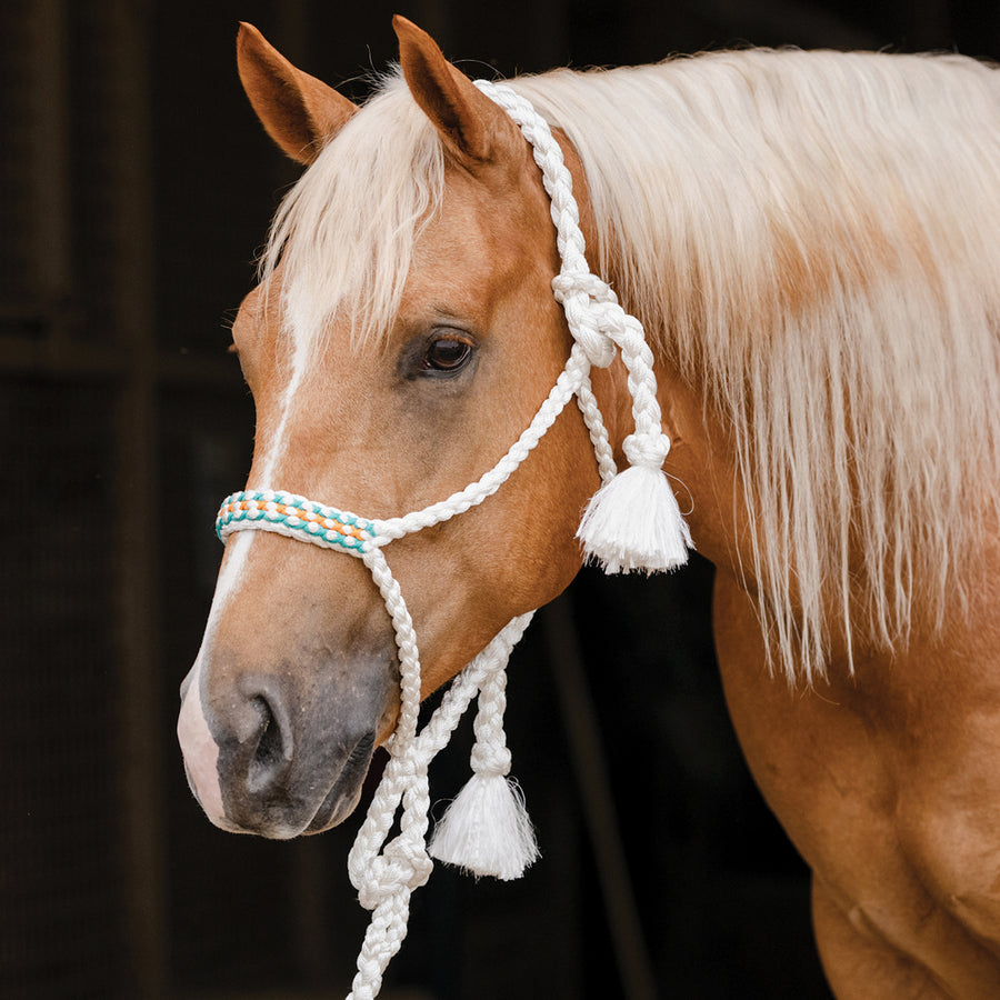 Professional's Choice H. Cowboy Braided Woven Halter White Teal – by Hilason – Cowboy and equestrian accessories