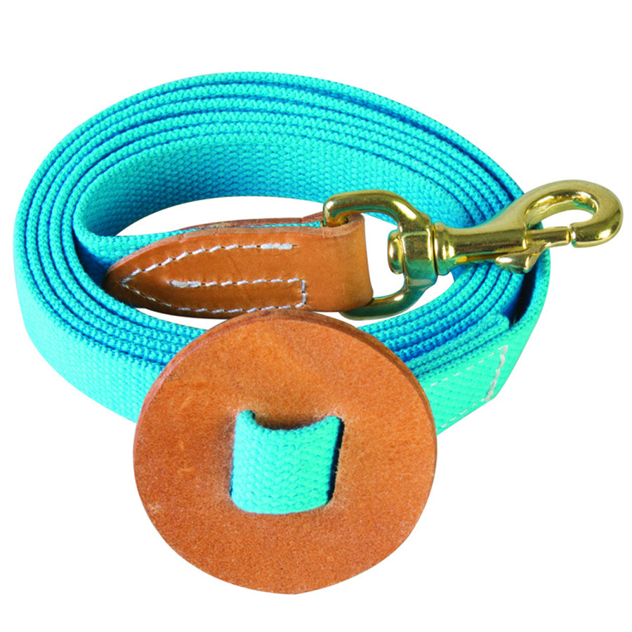 Turquoise nylon lead rope with leather handle and brass snap - Uhorse