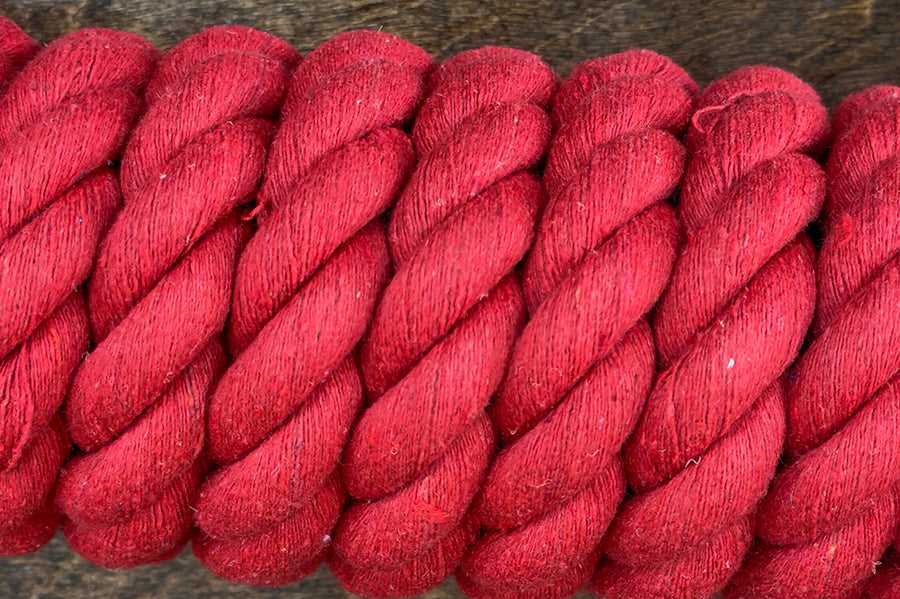10 ft Hilason Riding Horse Cotton Lead With Snap Rope Red & Black